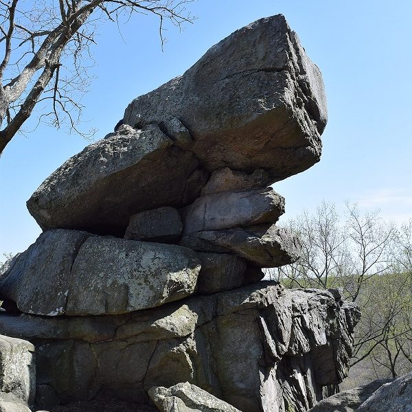 rock-on-maryland-celebrate-national-collect-rocks-day-with-martin