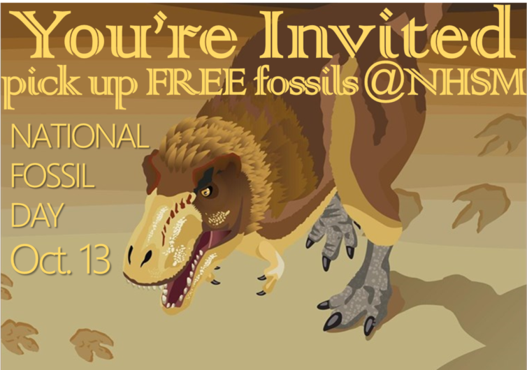 National Fossil Day Free fossils Fossil experts Fossil Fun