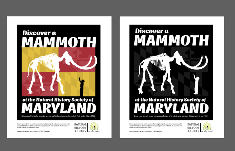 Meet A Mammoth Public Open House Free Natural History Society Of Maryland