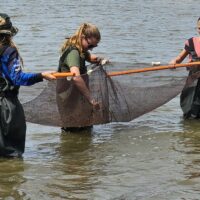 kids seining